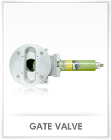 GATE VALVE
